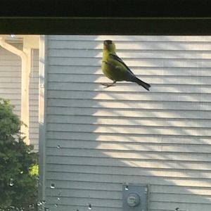 Meet your Posher, Julien